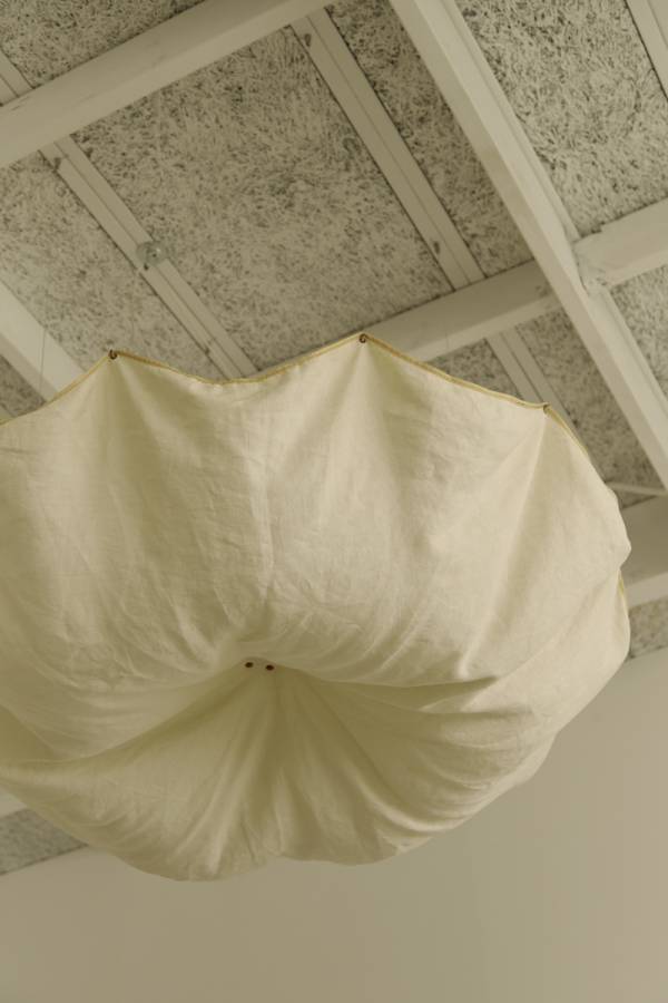 Celestia Ceiling Light