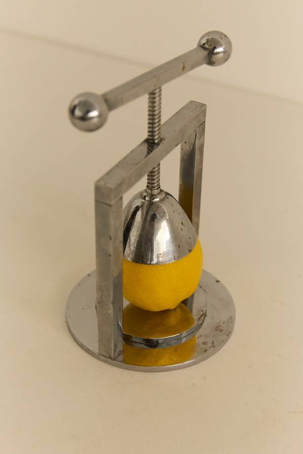 Lemon Squeezer