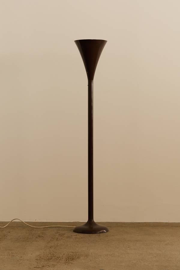 Luminator Floor Lamp